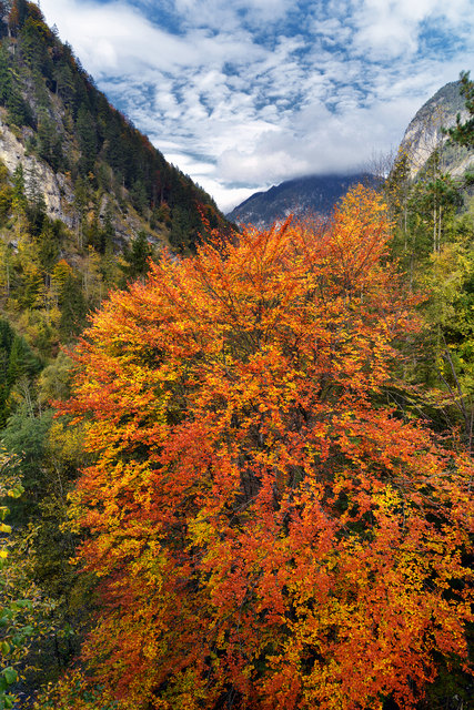 Von der Hohe Brücke, an der Eibergstraße fotografiert.