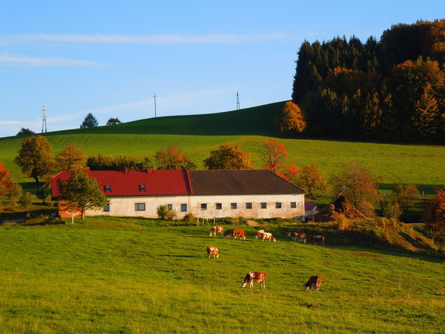 Wilhelmsburger Idylle