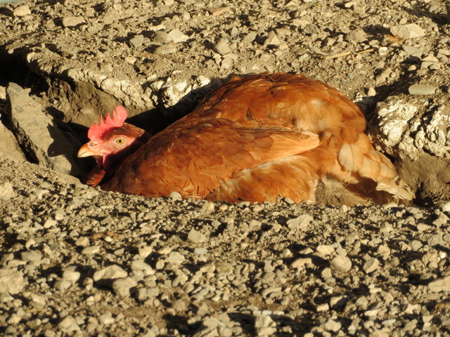 ... ist im Herbst fast noch schöner als im Sommer, weil es nicht alltäglich ist