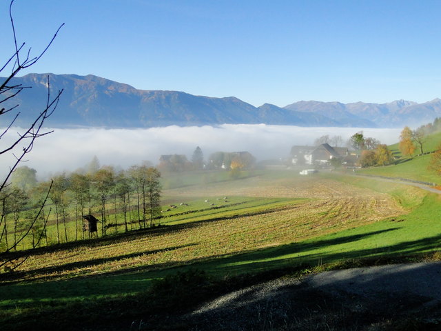 raus aus dem Nebel