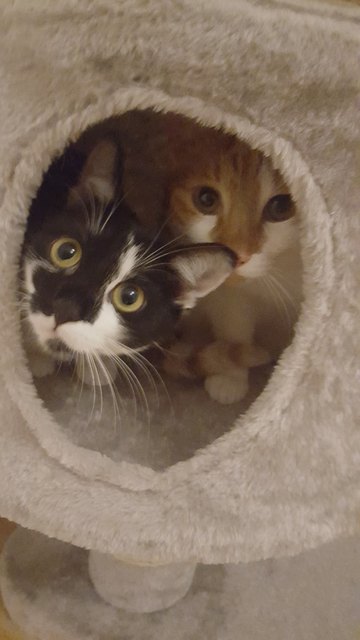 Verstecken spielen 