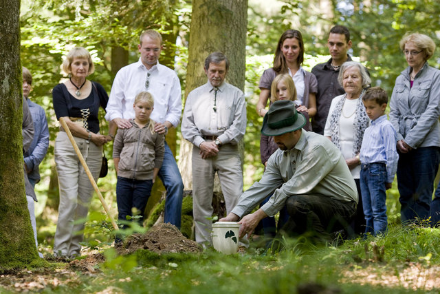 Foto: FriedWald