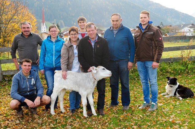 Der Braunviehzuchtverein Axams mit Obm. Anton Hörtagl (li.) setzte eine tolle Geste und spendierte Fam. Hornegger ein Zuchtkalb.