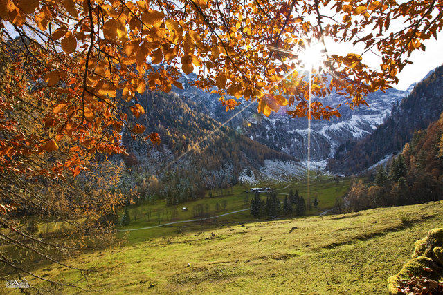 Die Marbachalm im Herbstkleid