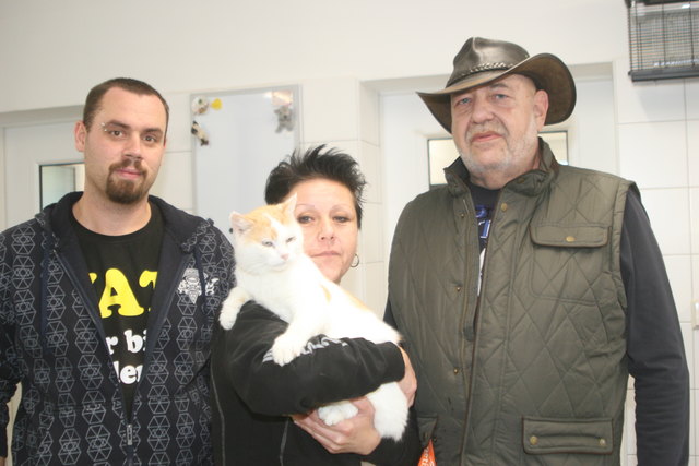 Tierarzt Dr. Erno Holper (rechts) ist der Leiter der neuen "Villa Miau" in Baden.