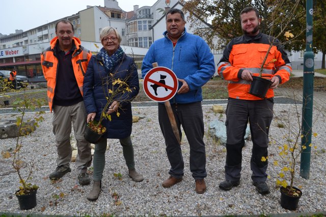 Bgm. Ingrid Salamon mit Bauhofleiter Günter Dorner und den Bauhofmitarbeitern Otmar Rieger und Markus Lang (re) | Foto: Stadtgemeinde