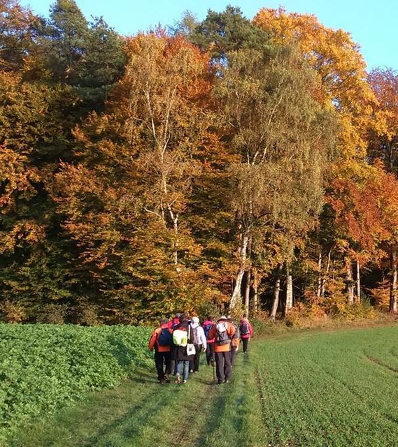 Alleine im Jahr 2015 sind mehr als 2.000 Menschen zu begleiteten Pilgerwanderungen aufgebrochen.