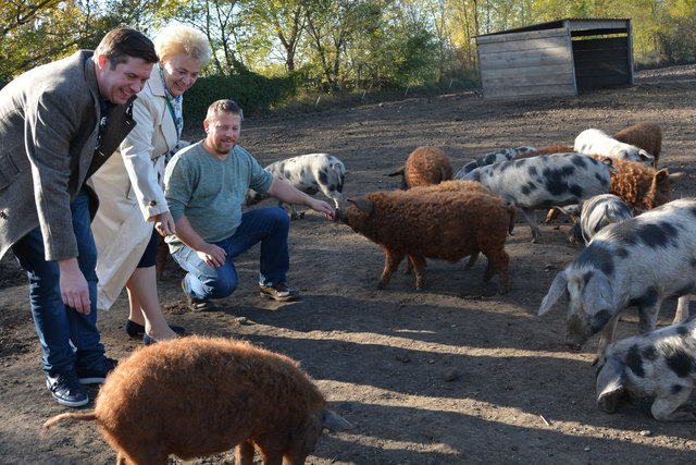 LR Dunst und Wolfgang Ban besuchten die Wollschweine von Josef Göltl. | Foto: Ziniel