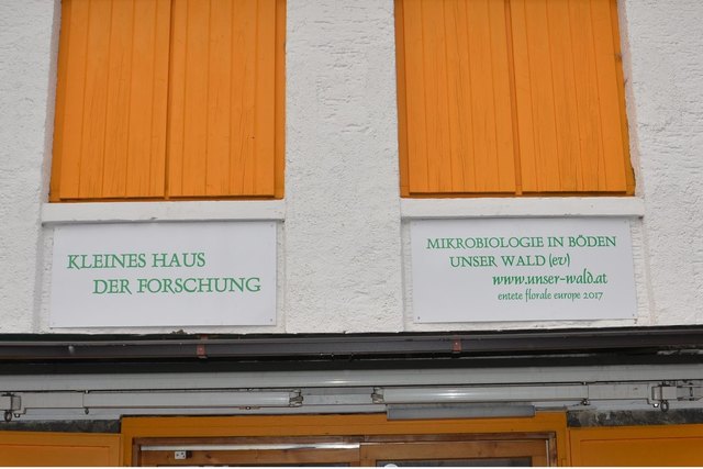 Kleines Haus der Forschung - Mikrobiologie in Böden
