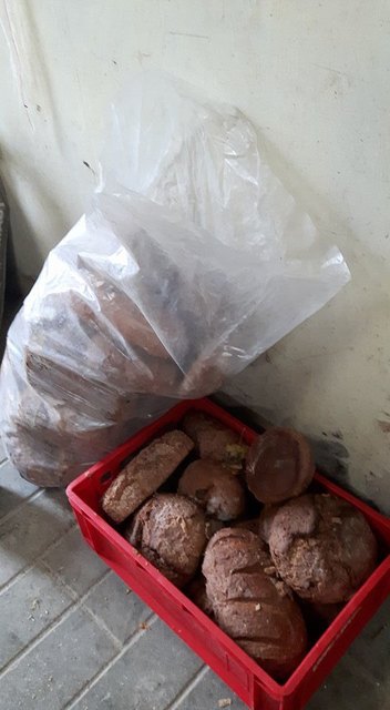 Dieses Foto postete Christine Herzog auf Facebook: illegal iim Großauer Wald entsorgtes Brot