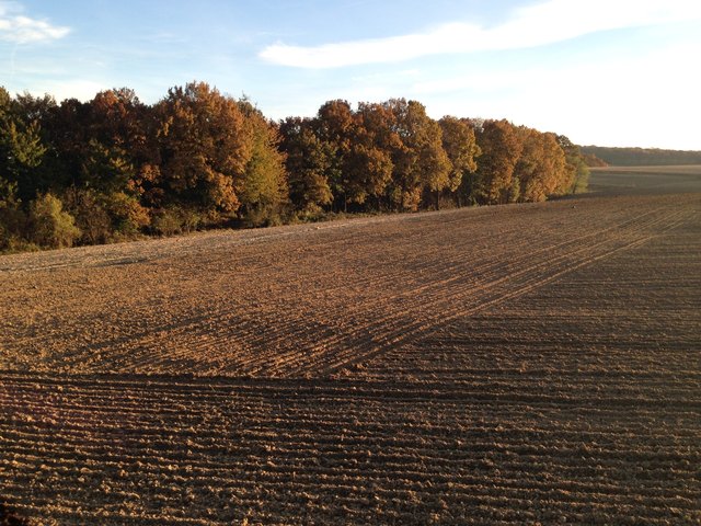 Dieses feinst bearbeitete Feld in der Nähe von Großrußbach macht den Eindruck eines harmonischen, asiatischen Zen Gartens.