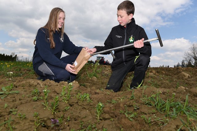 Interessierte Schüler bei der Bodenprobeentnahme. | Foto: LWBFS Waizenkirchen