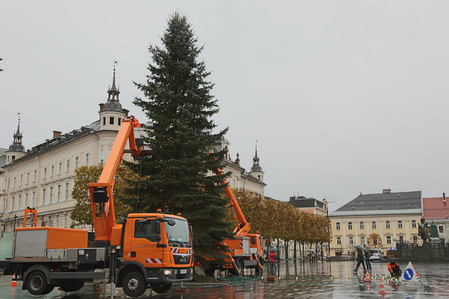 Christbaum wird geschmückt ...