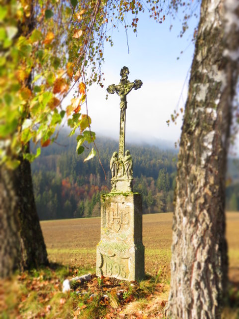 Der Nebel verzieht sich langsam, die herbstlichen Blätter leuchten .....