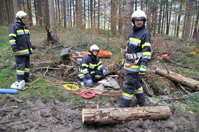 Auch im Forst galt es ein Übungsszenario zu bewältigen. | Foto: Ferlitsch/BFVDL