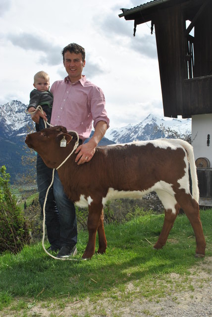 Am Hubgut: Johannes Hofer jun. und sen. mit einem Pinzgauer Kalb im typischen satten Kastanienbraun. | Foto: Privat