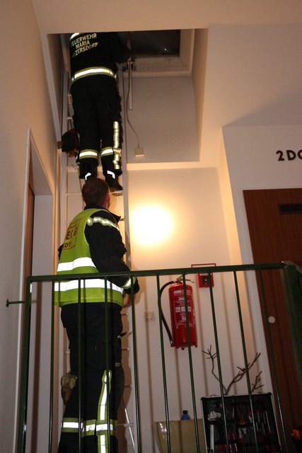 Foto: Schallagruber