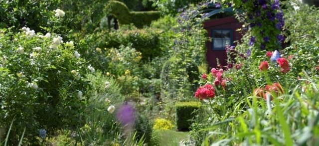 (c) Natur im Garten / Alexander Haiden