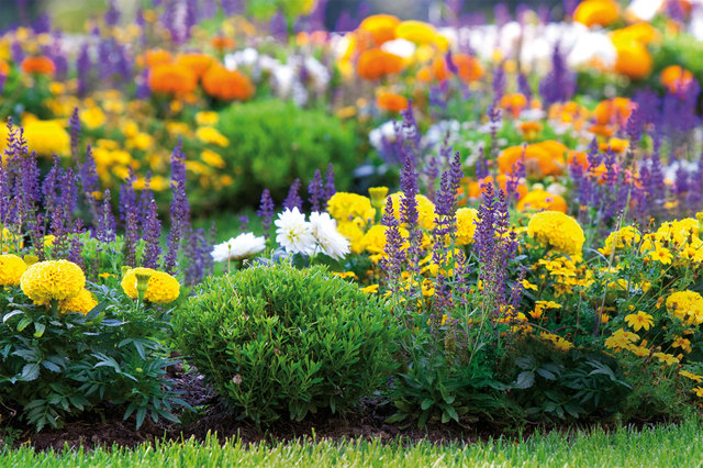 Geschenk-Tipp: Mit einer Dauerkarte der OÖ Landesgartenschau 2017 in Kremsmünster schenken Sie Erholung im Blütenparadies.