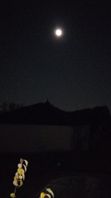Vollmond über Strengberg 14.11.2016 18:30 Uhr