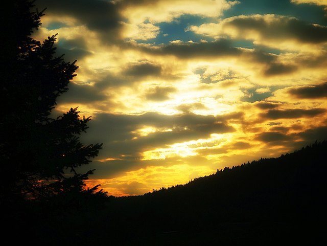 ... momentan ist es nebelig und es regnet!