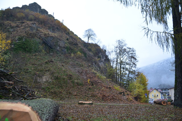 Kahler Festungsberg nach der Rodung an der Josefsburg-Seite.