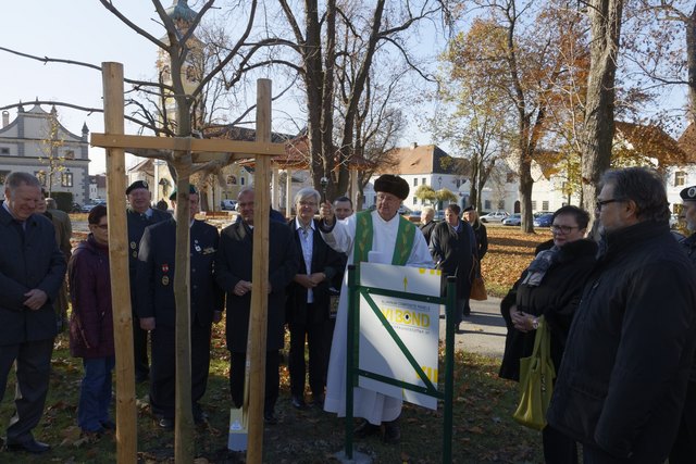 Pfarrer Franz Ofenböck segnete im niederösterreichischen Hadersdorf-Kammern den Kastanienbaum aus dem obersteirischen Kammern. | Foto: KK