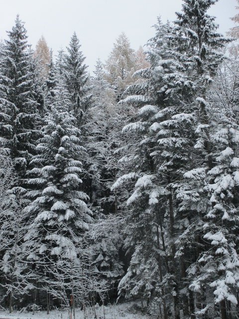 Ich habe schon den ersten Schnee gehabt...