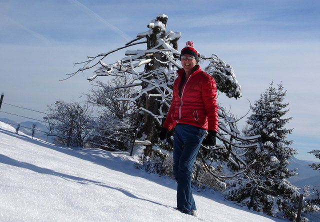 Eine herrliche Winterlandschaft mit bezuckerten Bäumen