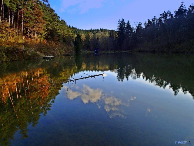Fischerteich im Manhartsberger Wald, absolute Stille.
