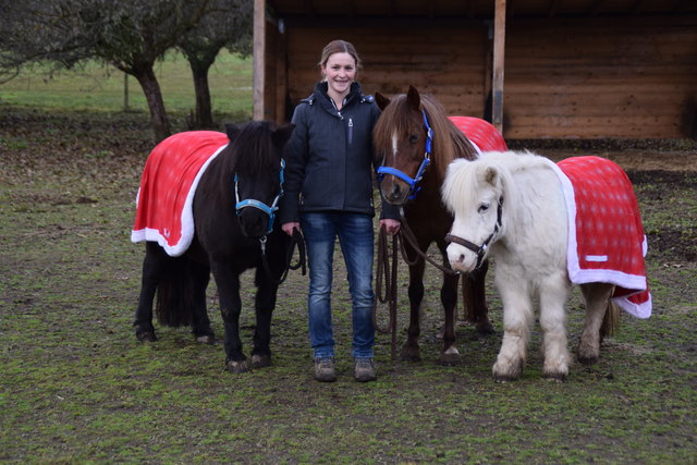 Schon in Adventstimmung: Reitpädagogin Victoria Feurle mit Susi, Roxy und Flocke (von links) | Foto: Mörth