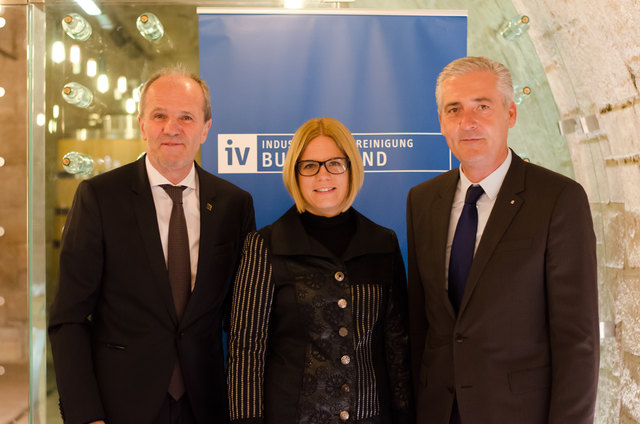 Das neue Präsidium der IV: Präsident Manfred Gerger (rechts) mit seinen Stellvertretern Nina Katzbeck und Johann Bock. | Foto: Industriellenvereinigung