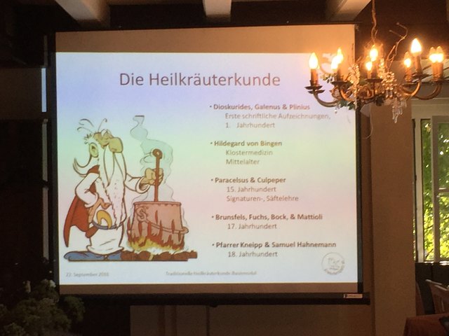 Heilkräuterkunde im Lauf der Zeit