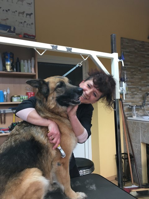 "Dogmom" Gabriele Robl beim Ausbürsten von Marissas Fell. | Foto: privat