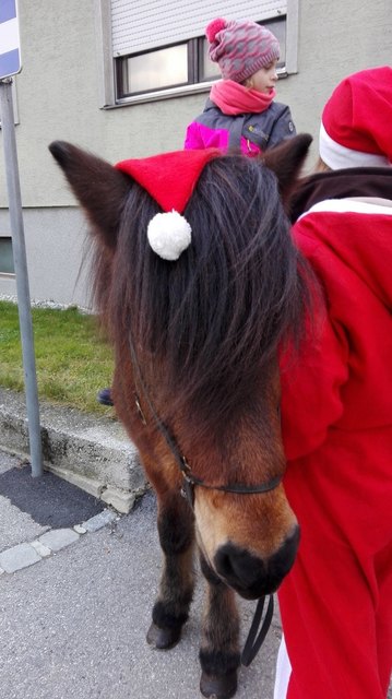 Die braven Island-Ponys drehten ihre Runden