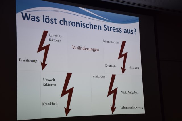 Die Stressoren im täglichen Leben können vielfältig sein und greifen nicht selten ineinander.