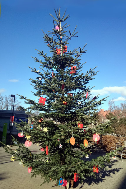 Am 2. Dezember 2016 um 15 Uhr wurde der Weihnachtsbaum in der Siedlung Schmelz bei Musik und Getränken feierlich geschmückt. Gewidmet wurde der Baum vom Kulturverein Fünfhaus, der Volkshilfe Wien und vom "Siedlungsverein Schmelz". Obgleich den Siedlungsverein keiner kennt, freuen sich die Kinder und Bewohner der Siedlung sehr.