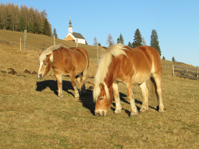 in St. Lorenzen im Hintergrund die Wallfahrtskirche St. Anna ob Ebene Reichenau   5.  Dezember 2016