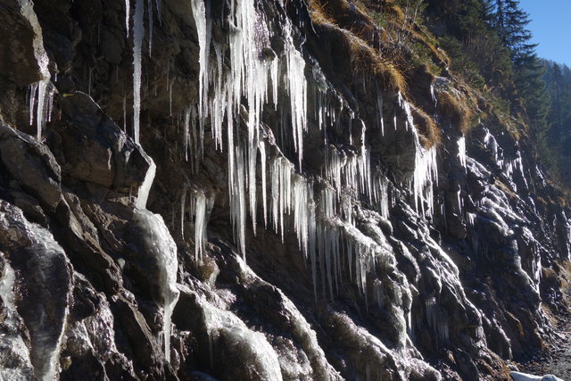 Eiszapfenwand im Dezember; von Eis bedeckt die Wände und die Zweige, das alte Jahr geht bald zur Neige. Ein Zauber lächelt aus der Ferne und glänzen tun die ersten Sterne. Ein helles Licht, das ewig brennt, schickt uns den seligen Advent!
