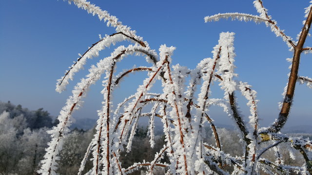 Frost am Morgen