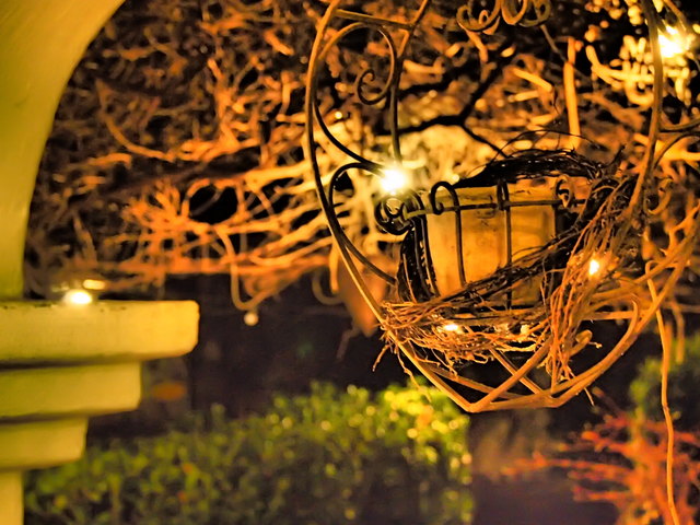 Winterzeit ist ... nach einem guten Essen bei einem Glas Wein in den schön beleuchteten Garten hinauszublicken