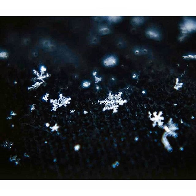 Schneeflockennahaufnahme -in der Winterzeit die Natur erkunden und festhalten ;) die schönste romantischte zeit im Jahr