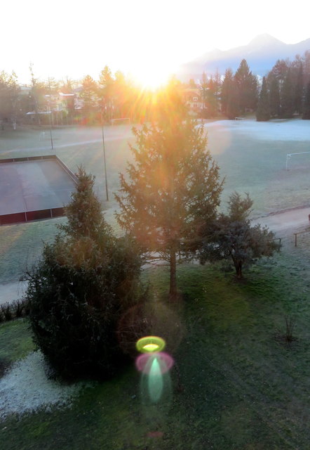 Da soll noch jemand sagen, das Christkind gibt es nicht! Ich habe es heute am Morgen vor meinem Fenster gesehen, noch dazu leuchtete auf der Baumspitze ein Stern!!! Es ist ja fast nicht zu glauben, aber durch die Spiegelung der aufgehenden Sonne im Objektiv hat sich rein zufällig dieses "Christkind" auf das Foto gezaubert. Ich denke wie alle "Regionauten - Freunde," zur richtigen Zeit am richtigen Ort abgedrückt!" EIN KLEINES WEIHNACHTSWUNDER!?!?!