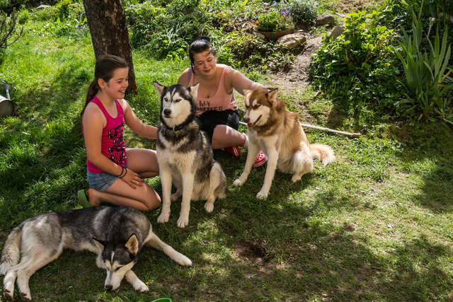 Im Sommer haben die Huskys Pause, denn zum Trainieren ist es viel zu heiß | Foto: KK