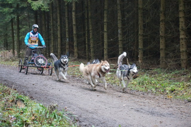 Europameisterschaften in Ottenschlag (NÖ) | Foto: KK