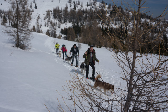 Ein echter Naturbursche, der jede freie Minute mit seinen Huskys verbringt | Foto: KK