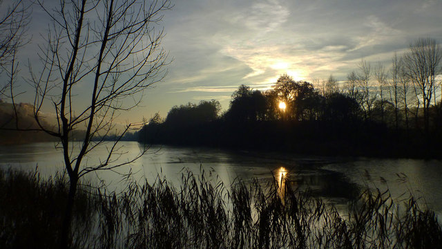 An der Oberfläche des Wöhrsees in Burghausen bildet sich zartes Eis.