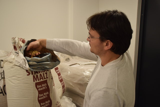 Zutaten sind Malz (Bild), Hopfen, Hefe und Wasser.