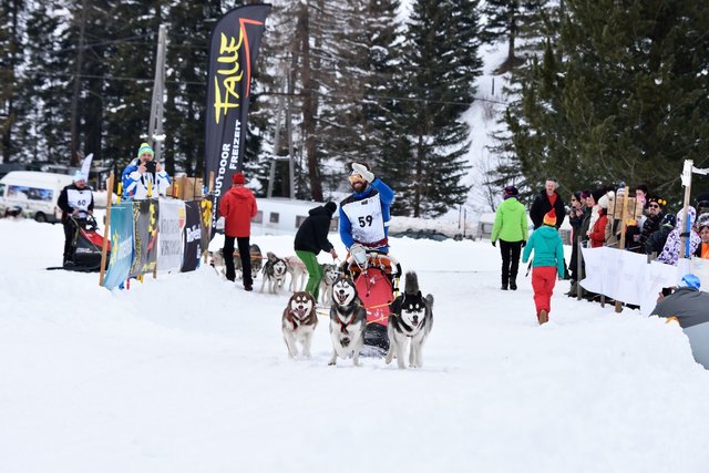 Dominik Lindebner bei seinem ersten Hundeschlittenrennen in der Innerkrems im März 2016 - in der Tourenwertung 1. Platz | Foto: KK