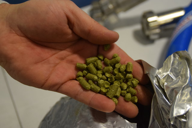 Der Hopfen wird in Pellets-Form verwendet.